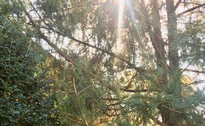 esta foto no es de hoy pero miren esta genial el sol a eso me refiero