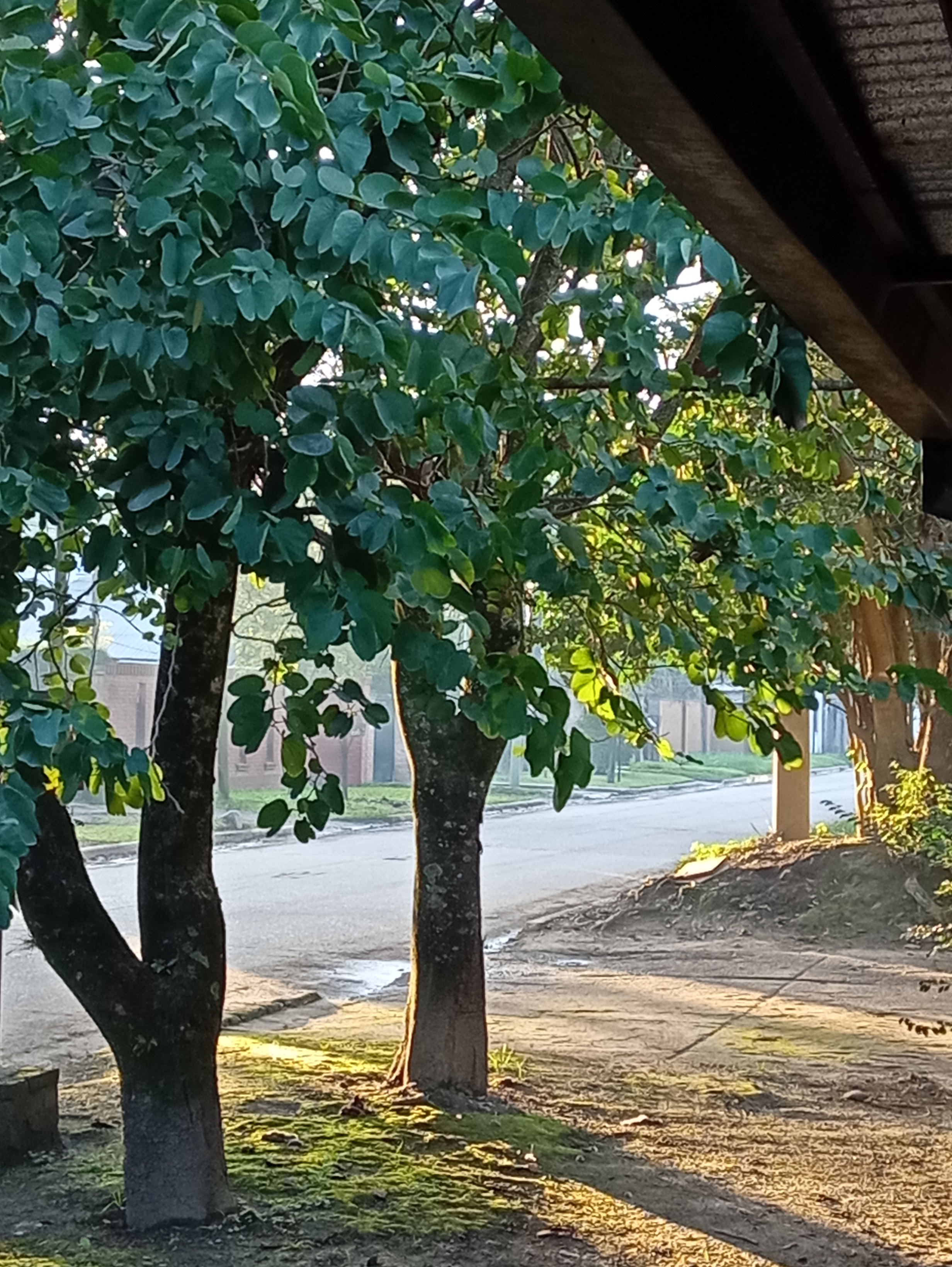 gracias Señor por este clima tan acogedor. No quiero olvidarmelo nunca.