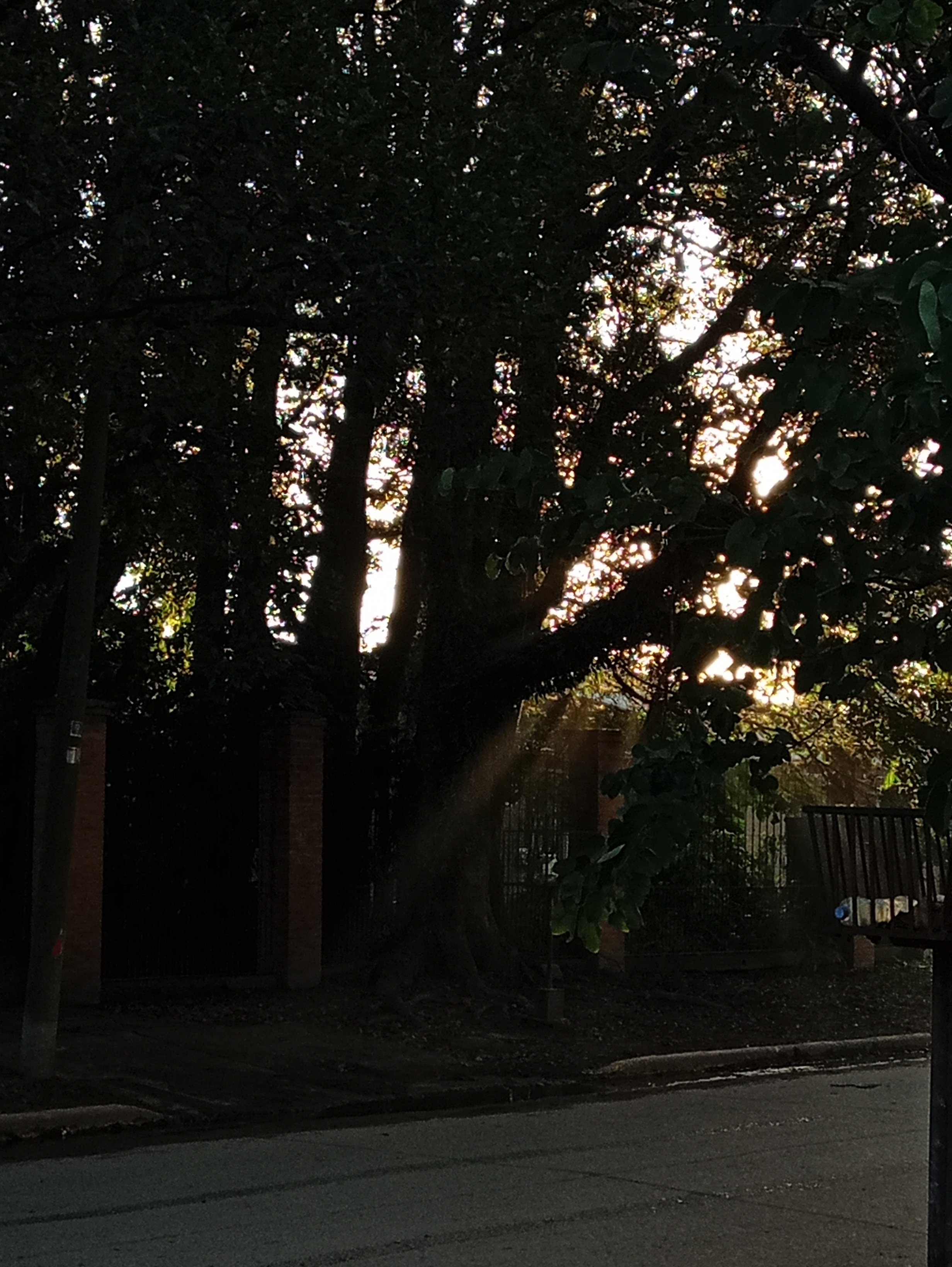 disfruté mucho del otoño, gracias gracias gracias. miren de linda que me salió la foto yo la siento casi real. Me pone cursi el invierno.